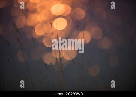 Bokeh-Effekt, Licht blinkt im Wasser bei Sonnenuntergang, La Pampa, Patagonien, Argentinien. Stockfoto