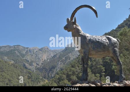 Statue in den Bergen, Hommage an die iberische Ziege der Pyrenäen, Alcaucin, Spanien Stockfoto