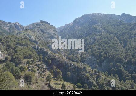 Berge und Bäume im Alcazar Park natural, Alcaucin, Spanien Stockfoto