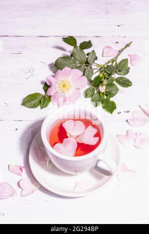 Tee aus Hagebutten Blüten. Sommer Vitamingetränk, hartes Licht, dunkler Schatten. Weißer Holzhintergrund, Kopierraum Stockfoto
