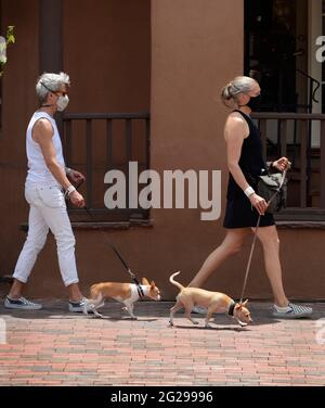 Zwei Frauen mit Pandemiemasken laufen ihre kleinen Hunde auf einem Bürgersteig in Santa Fe, New Mexico. Stockfoto