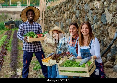 Fröhliche, multirassische Bauern mit frischem Gemüse in Schachteln auf der Plantage Stockfoto