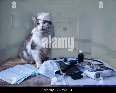 Lustige Katze in einem Arzthut und medizinischen Instrumenten Stockfoto