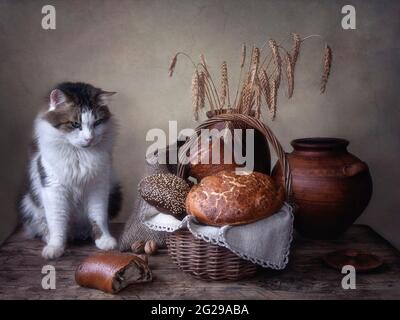 Stillleben mit Brot und neugierigen Fleckkatzen Stockfoto