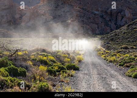 Hinterleuchtete Staubwolke hinter einem fahrenden Fahrzeug auf einer Strecke im Nationalpark Las Canadas del Teide, Teneriffa, Kanarische Inseln, Spanien Stockfoto