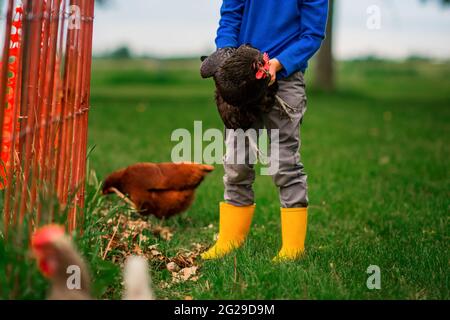 Kleines Kind hält ein schwarzes Huhn in einem Hof mit anderen Hühnern Stockfoto