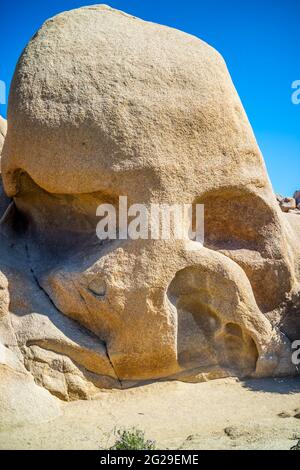 Ein Totenkopf Rock im Joshua Tree National Park, Kalifornien Stockfoto