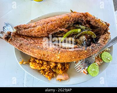 Frittierter Fisch. Frittierter, glatter Fisch. Meeräsche, Meeräsche mit flachem Kopf. Meerbarsch. Meerbarsch, serrano-Paprika, Zitronen. Meeresfrüchte, Essen, Lebensmittel und Nahrungen, Speisen, Lebensmittel. Stockfoto