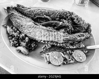 Frittierter Fisch. Frittierter, glatter Fisch. Meeräsche, Meeräsche mit flachem Kopf. Meerbarsch. Meerbarsch, serrano-Paprika, Zitronen. Meeresfrüchte, Essen, Lebensmittel und Nahrungen, Speisen, Lebensmittel. Stockfoto