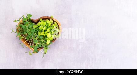 Microgreens in einer Holzplatte in Form eines Herzens auf dem Tisch, gesundes Lebensmittelkonzept. Stockfoto