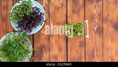 Micro Greens im Warenkorb auf Holzhintergrund. Verschiedene Arten von Microgreens zum Verkauf. Gesunde Ernährung Konzept. Stockfoto