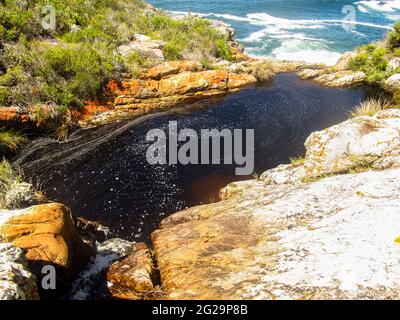 Ein kleiner Pool, der sich an einem sonnigen Tag auf einem Felsvorsprung über dem Indischen Ozean entlang der Küste von Tsitsikamma in Südafrika sammelt Stockfoto