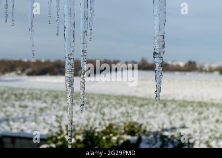 Nahaufnahme der Eiszapfen mit Details. Eisspitze hängt. Gefrorenes Wasser in großer Tropfenbildung schmilzt langsam und tropft. Winterwunderland-Konzept. Einfrieren Stockfoto