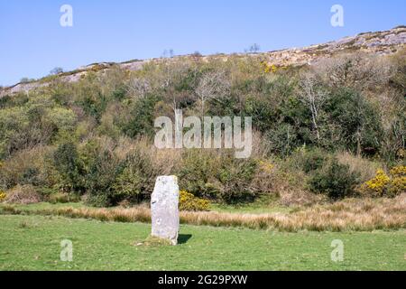 Farnanes Standing Stone Dunmanway West Cork Irland. Standing Stones gelten als antike Grabstätten und werden in allen Grafschaften Irlands gefunden. Stockfoto