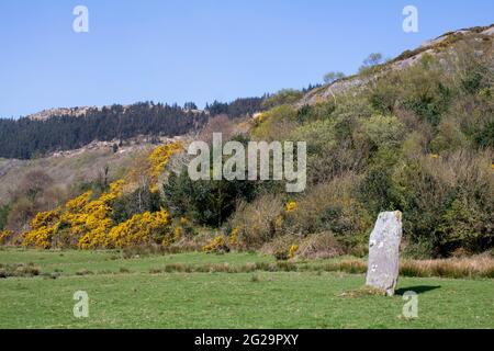 Farnanes Standing Stone Dunmanway West Cork Irland. Standing Stones gelten als antike Grabstätten und werden in allen Grafschaften Irlands gefunden. Stockfoto