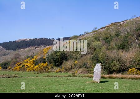 Farnanes Standing Stone Dunmanway West Cork Irland. Standing Stones gelten als antike Grabstätten und werden in allen Grafschaften Irlands gefunden. Stockfoto