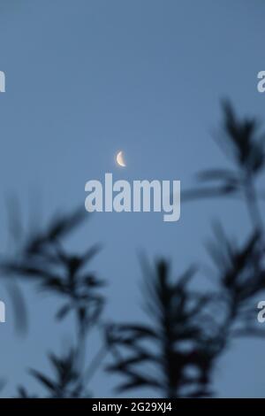 Ästhetischer Mond.Morgenansicht eines Halbmondes. Stockfoto