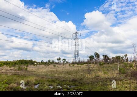 Strommasten- und obenliegende Übertragungskabel, die durch Feuchtgebiete am Chobham Common in der Nähe von Woking, Surrey, Südostengland, verlaufen Stockfoto