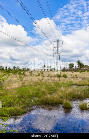 Strommasten- und obenliegende Übertragungskabel, die durch Feuchtgebiete am Chobham Common in der Nähe von Woking, Surrey, Südostengland, verlaufen Stockfoto