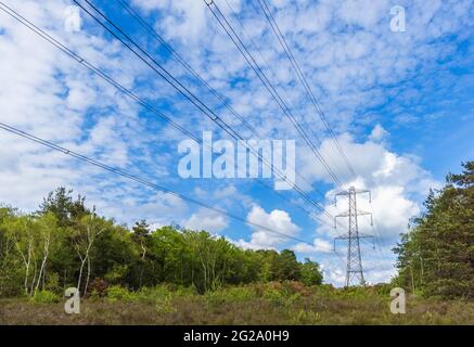 Strommast- und obenliegende Übertragungskabel, die durch Wälder am Chobham Common in der Nähe von Woking, Surrey, Südostengland, verlaufen Stockfoto