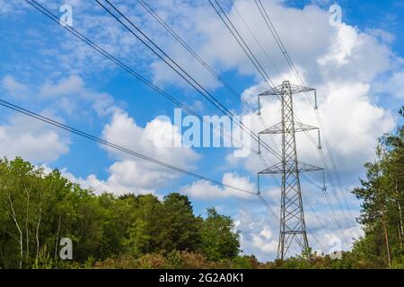 Strommast- und obenliegende Übertragungskabel, die durch Wälder am Chobham Common in der Nähe von Woking, Surrey, Südostengland, verlaufen Stockfoto