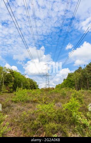 Strommast- und obenliegende Übertragungskabel, die durch Wälder am Chobham Common in der Nähe von Woking, Surrey, Südostengland, verlaufen Stockfoto