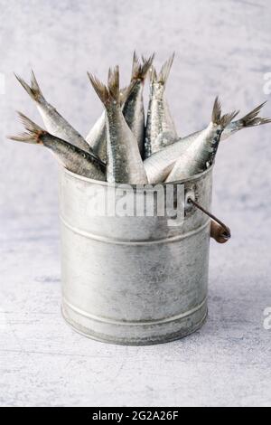 Mehrere frische Sardinen in einem metallischen Eimer Stockfoto