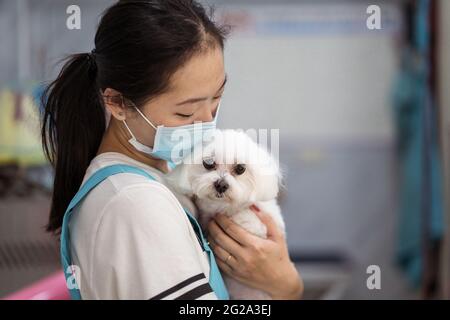 Seitenansicht des Crop Asian Veterinary Mitarbeiter in Uniform und trägt Gesichtsmaske umarmt und tröstend ängstlich kleinen maltesischen Hund in zeitgenössischen Groomi Stockfoto