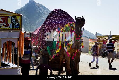 Pushkar, Indien - 10. November 2016: Ein geschmückter Kamelkarren-Ritt von einem kleinen Jungen auf einer Handelsstraße der jährlich stattfindenden pushkar-Messe oder Mela während der da Stockfoto