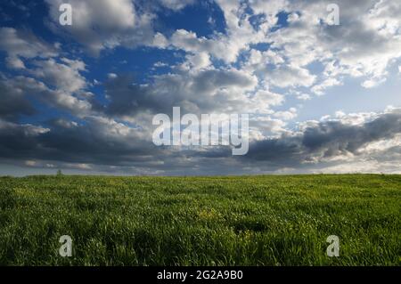 Landschaft für grünes Gras und dramatischen Himmel Stockfoto