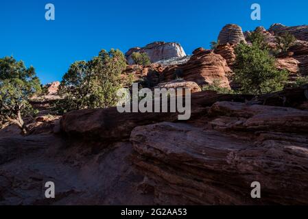 Canyon View Trail im Zions National Park, Utah, USA. Dies ist einer von vielen malerischen Pfaden im Park mit herrlichem Blick auf den tiefen Canyon. Stockfoto