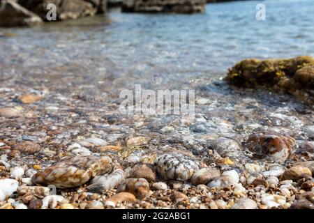 Marmorsteine aus der Nähe am wilden kiesstrand des mittelmeers mit felsiger Küste und blauem klarem Wasser. Reisen Sie nach Griechenland in der Nähe von Athen. Sommer Natur landschaftlich l Stockfoto