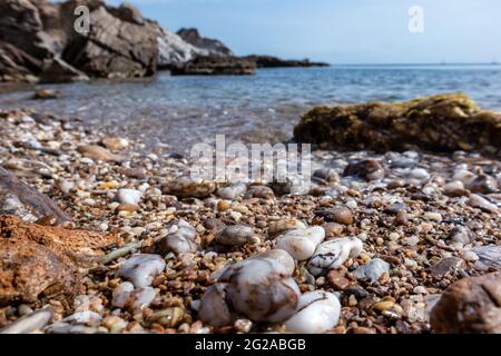 Marmorsteine aus nächster Nähe am wilden kiesstrand des mittelmeers mit felsigen Klippen und blauem klarem Wasser. Reisen Sie nach Griechenland in der Nähe von Athen. Sommer Natur s Stockfoto