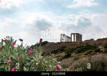 Tempel von Poseidon am Kap Sounion, Griechenland mit roten Blüten des Nerium Oleander blühenden Busches. Ruinen eines antiken griechischen Tempels mit einer Säule im dorischen Stil Stockfoto