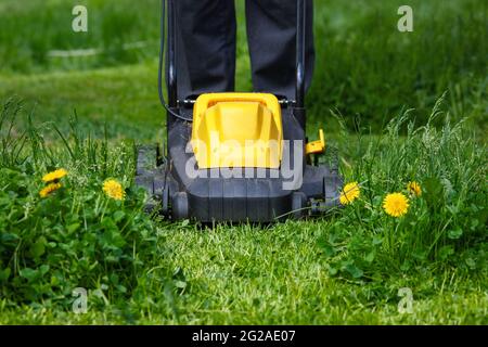 Gärtner mäht Gras im Hinterhof mit elektrischem Rasenmäher, Vorderansicht Stockfoto