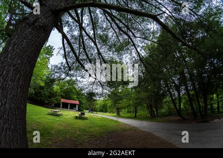 Ultra Wide View des Chittenango Falls State Park mit Touristen, die herumlaufen Stockfoto