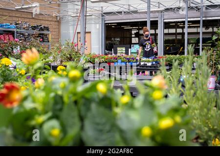 Utica, New York - 22. Mai 2021: Eine Lady-Kundin geht im Gartendepartement im Walmart Supercenter auf den Einkauf von Blumen und Pflanzen ein. Stockfoto