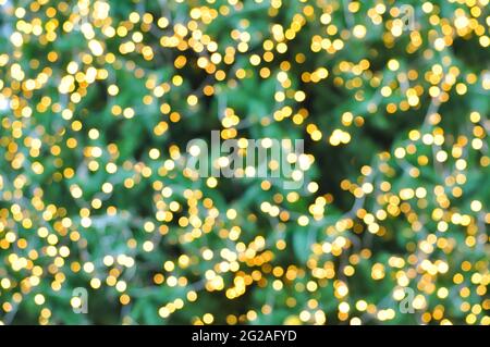 Dekoratives Licht auf weihnachtsbaum - Bokeh abstrakten Hintergrund Stockfoto