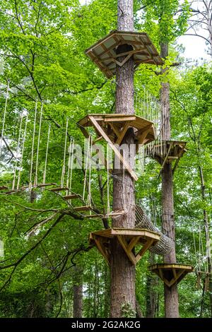 Screaming Eagle Aerial Adventures im Chattahoochee Nature Center in Roswell, Georgia. (USA) Stockfoto