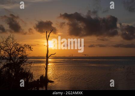 Am 9. Juni 2021 geht die Sonne über der Mobile Bay unter und die Skyline der Stadt Mobile steigt in der Ferne auf. Stockfoto