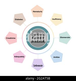Diagramm Konzept mit chronischen Nierenerkrankungen Text und Schlüsselwörter. EPS 10 isoliert auf weißem Hintergrund Stock Vektor