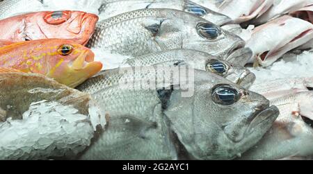 Fisch und Meeresfrüchte Stockfoto