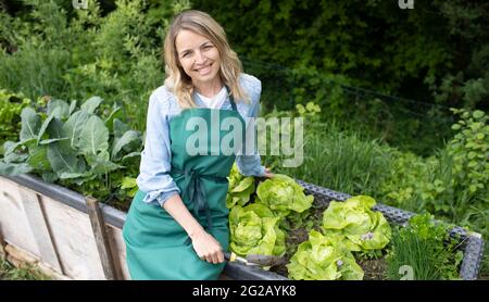 Hübsche blonde junge Frau posiert vor einem erhöhten Bett, Gemüsebeet im Garten und ist glücklich Stockfoto