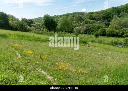 Blick auf das lokale Naturschutzgebiet der Hutchinson's Bank und das für den Naturschutz wichtige Gebiet der Metropolregion, ein Kalkgrasland in der Nähe von Croydon, Großbritannien Stockfoto