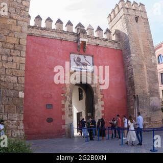 Sevilla, Spanien - 27. September 2020: Königliche Alcazare von Sevilla. Tor des Löwen. Der Haupteingang Stockfoto