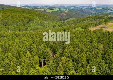 09. Juni 2021, Sachsen, Pockau-Lengefeld: Fichten wachsen auf einem Bergrücken im Erzgebirge. In den letzten Jahren war der Wald hier nicht nur von Dürre und Rindenkäfer, sondern auch von mehreren Stürmen stark betroffen. Um die rasche Entfernung des gefällten Holzes zu gewährleisten und einen Angriff des Rindenkäfers zu verhindern, wurde die Verladestation in Pockau-Lengefeld 2020 sogar reaktiviert. Allein im Jahr 2019 hinterließen Rindenkäfer in Sachsen mehr als zwei Millionen Kubikmeter beschädigten Holzes auf mehreren tausend Hektar Wald. (Luftaufnahme mit Drohne) Foto: Jan Woitas/dpa-Zentralbild/dpa Stockfoto