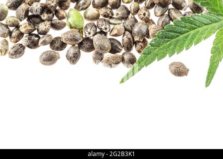 Cannabissamen und Cannabisblatt isoliert auf weißem Hintergrund. Nahaufnahme. Stockfoto