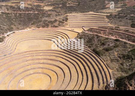 Kreisförmige Inka-Terrassen an der archäologischen Stätte von Moray im Heiligen Tal, Peru Stockfoto