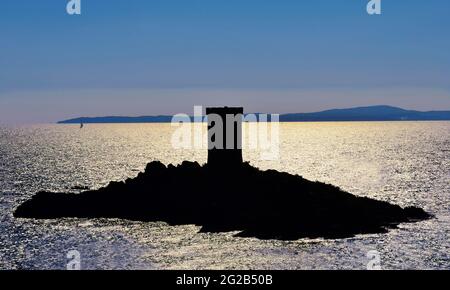 FRANKREICH, VAR ( 83 ), SAINT RAPHAEL, DIE GOLDINSEL IM NATURGEBIET ESTEREL Stockfoto