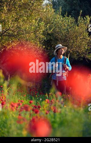 FRANKREICH, VAUCLUSE (84) OPPEDE LE VIEUX, NATURPARK VON LUBERON, SPAZIERGANG IM FRÜHLING IN DER NÄHE DES DORFES Stockfoto